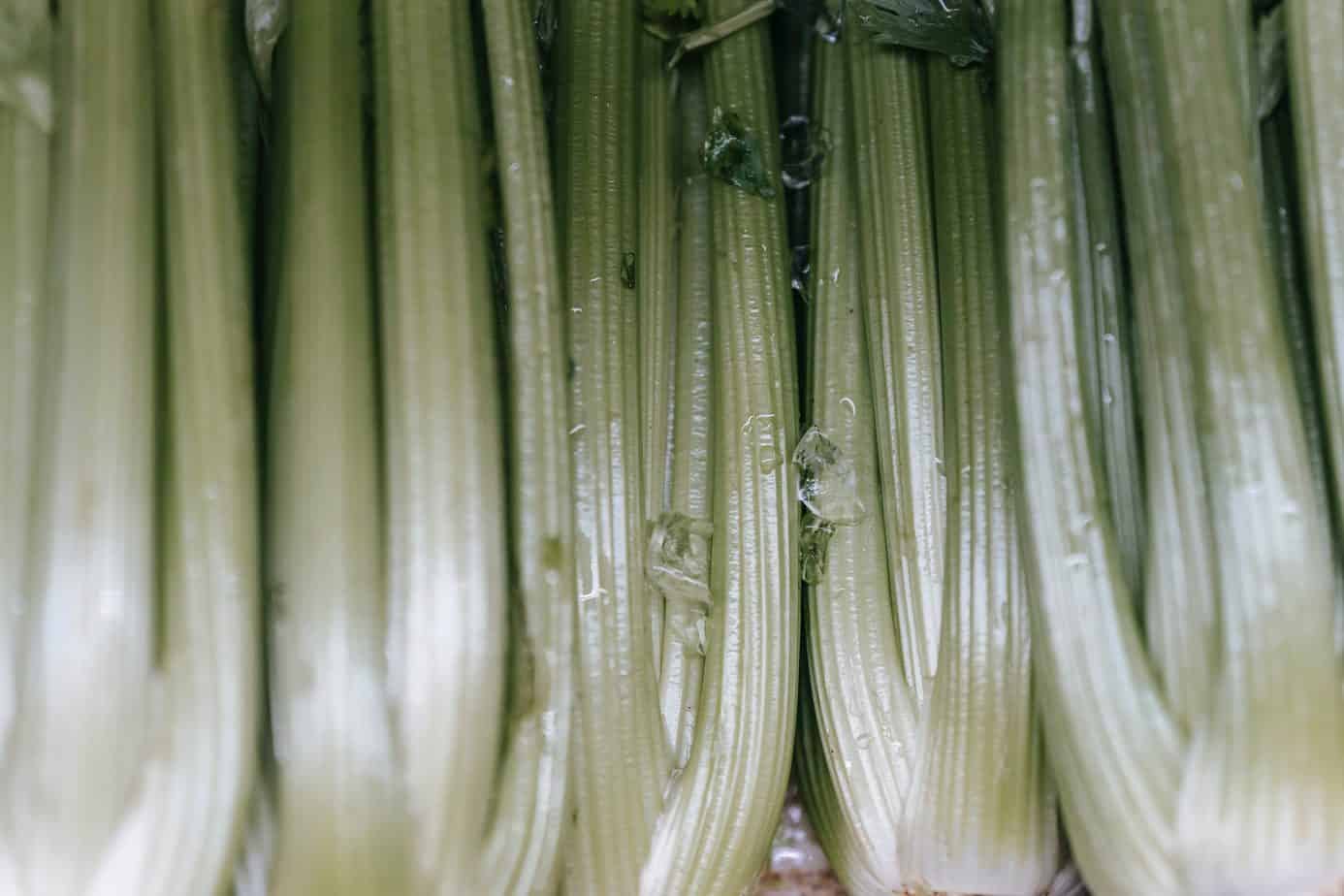 10 reasons to drink celery juice