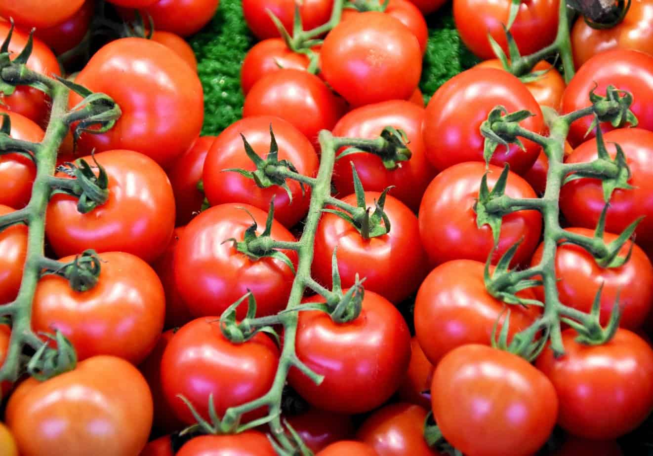 The Joys of Growing Your Own Vegetables: Buy Organic Tomatoes in Crossville, Tennessee