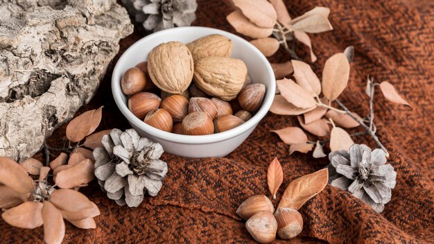 Exploring the Health Benefits of Apricot Seeds in Traditional Remedies
